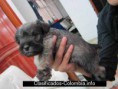 /album/fotogaleria-inicio-/palo-de-rosaa-mini-jpg/